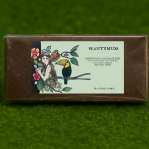 medicinal mushroom Chocolate Bar (2g)