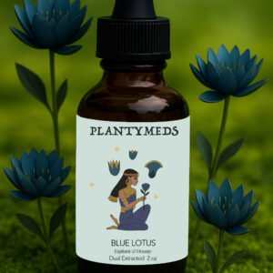 Egyptian Blue Lotus