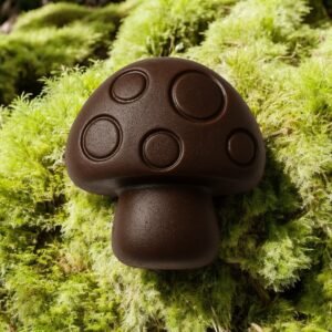 medicinal mushroom Chocolate (0.25g)