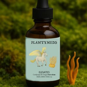 Elevated Cordyceps & Chaga