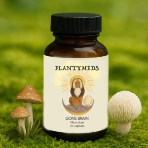 Lions Brain