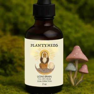Lions Brain Liquid Extract